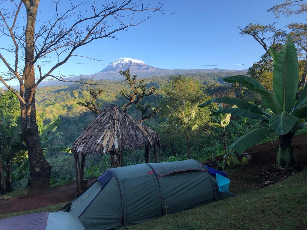 a tent in a field with a mountain in the background at Twende Africa Tours in Moshi