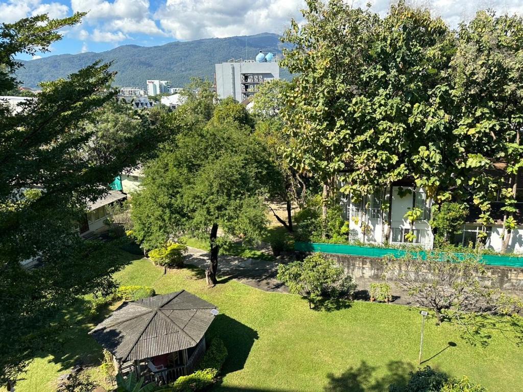 een uitzicht over de tuin met parasol bij Modern Condo in Nimman 501 in Chiang Mai