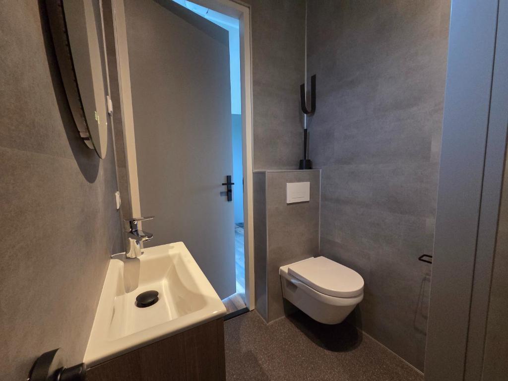 een badkamer met een wit toilet en een wastafel bij Chalet aan het water in Sprong