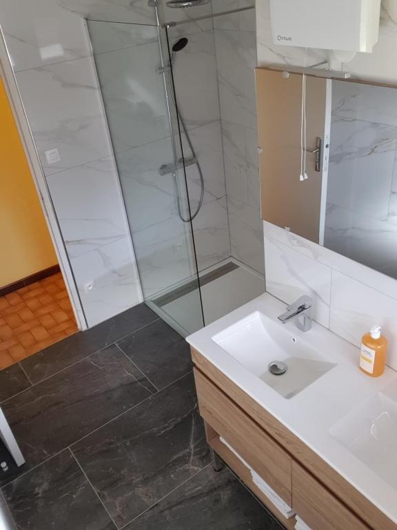een badkamer met een douche en een wastafel bij Beatitude62 in Fauquembergues