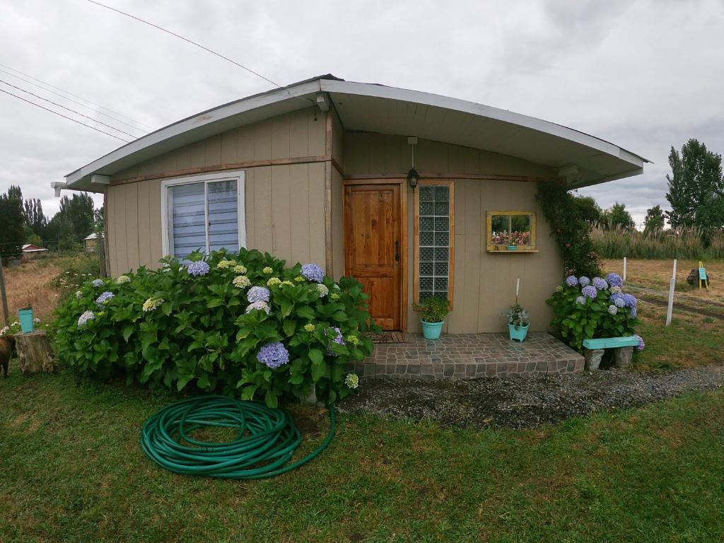 un piccolo capanno con una porta e dei fiori di Ayekantun a Salto del Laja