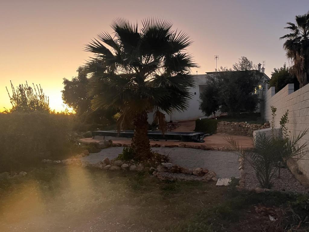 una palma in mezzo a un cortile di Villa Verzul a Lobres