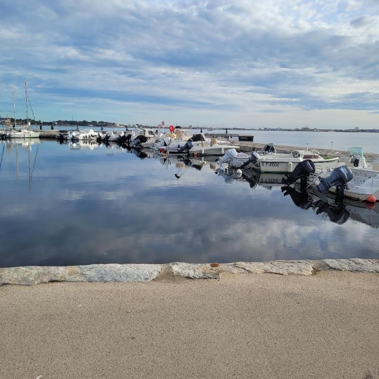 a group of boats are docked at a marina at Studio Emilie in Balaruc-les-Bains