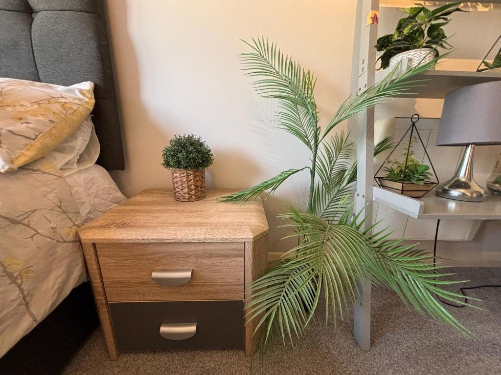 een plant die naast een nachtkastje naast een bed staat bij Canal Side Retreat in Heybridge