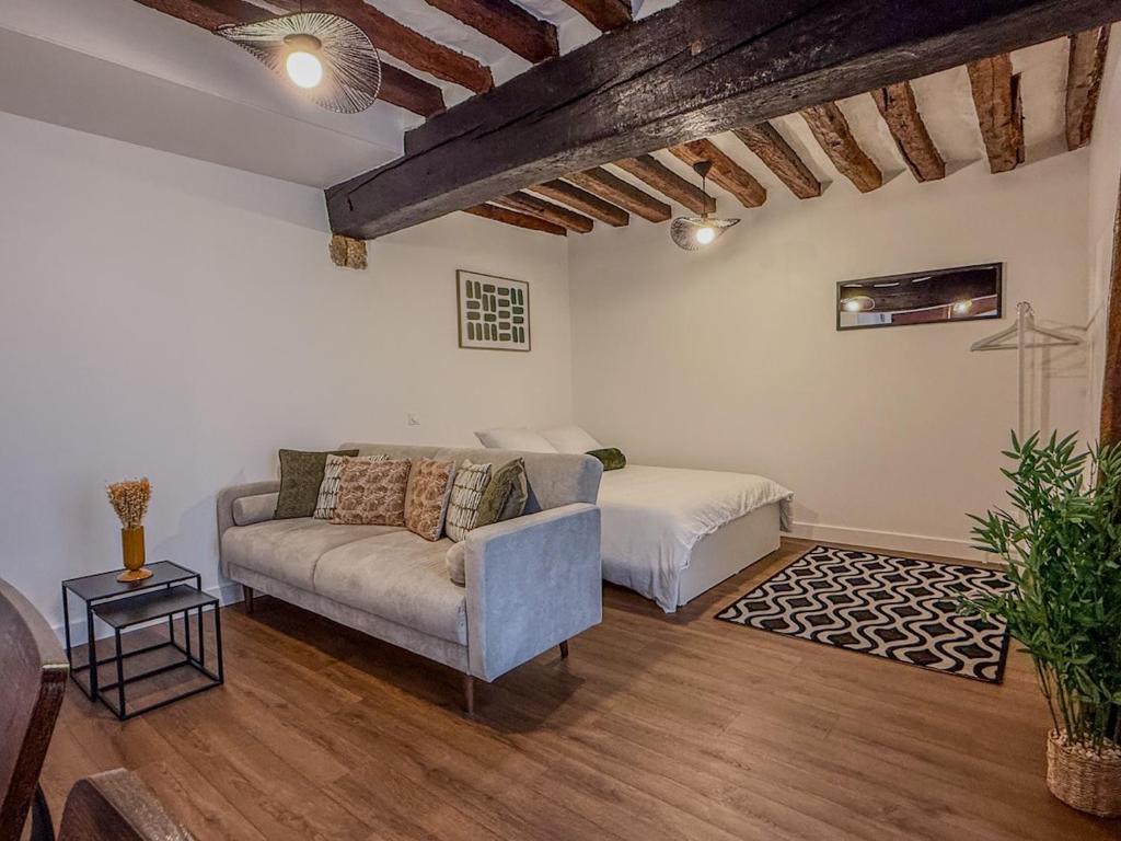 ein Wohnzimmer mit Sofa und Bett in der Unterkunft Studio cœur de Chartres, à côté de la cathédrale in Chartres