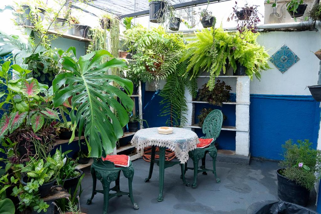 eine Terrasse mit Tisch, Stühlen und Pflanzen in der Unterkunft Casa Pet Friendly c 3 Quartos e Garagem no Jardim in Poços de Caldas