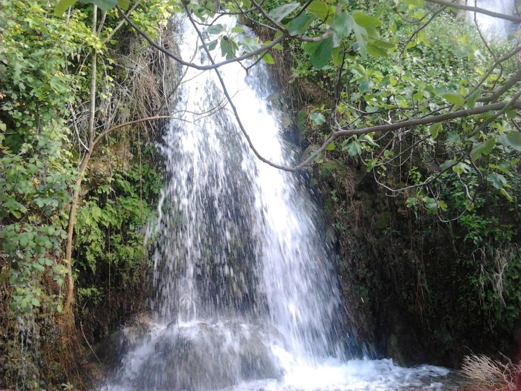 a waterfall in the middle of a forest at Casa La Cascada in El Bosque
