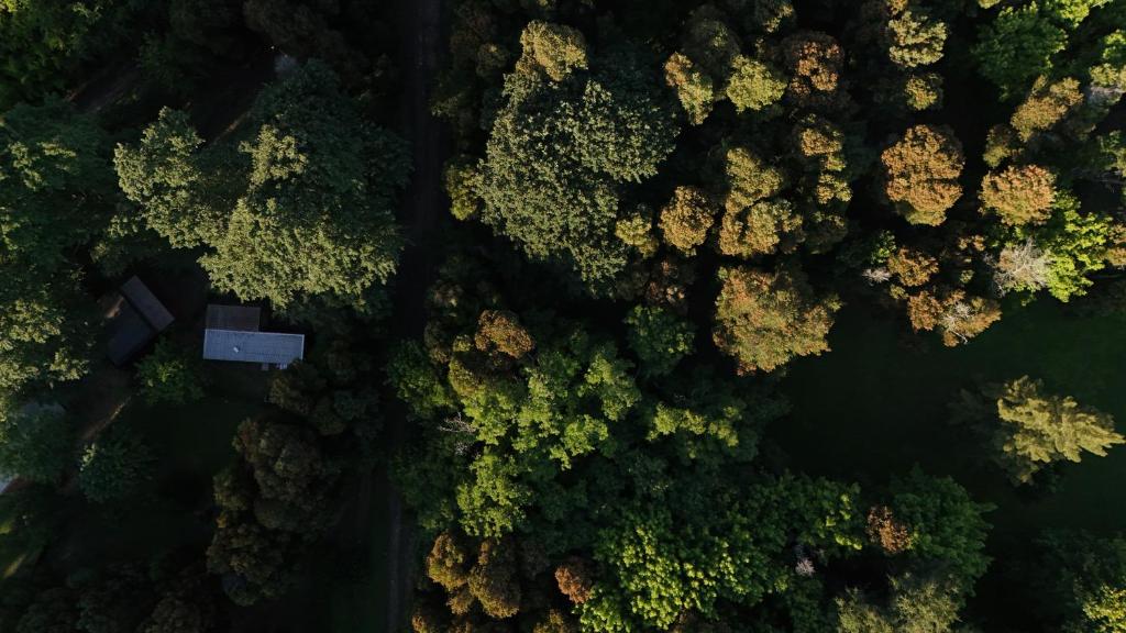 Natuurlandschap vlak bij het appartement