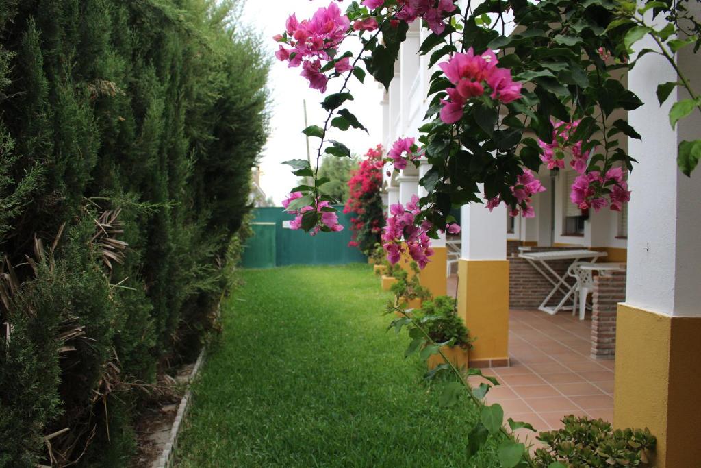a garden with pink flowers and green grass at Apartamentos Bolonia Paraiso in Bolonia