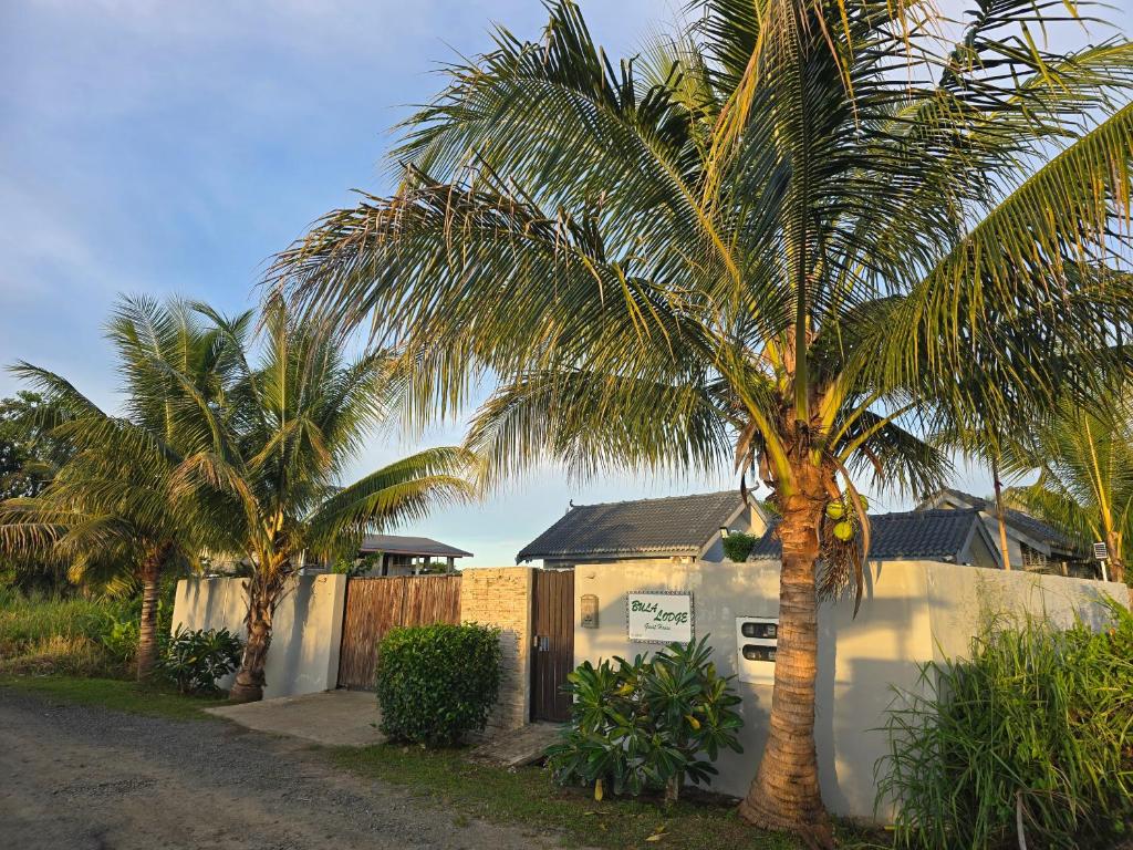 a couple of palm trees in front of a house at Bula Lodge Guest House in Nadi