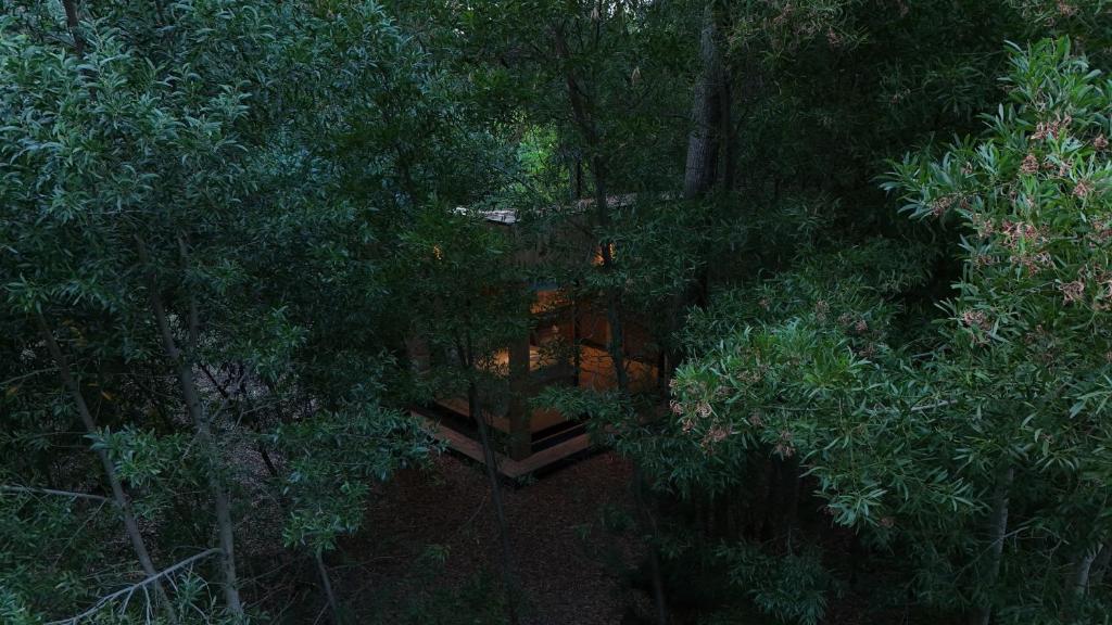 En have udenfor Tiny house en pleno bosque a metros de la laguna