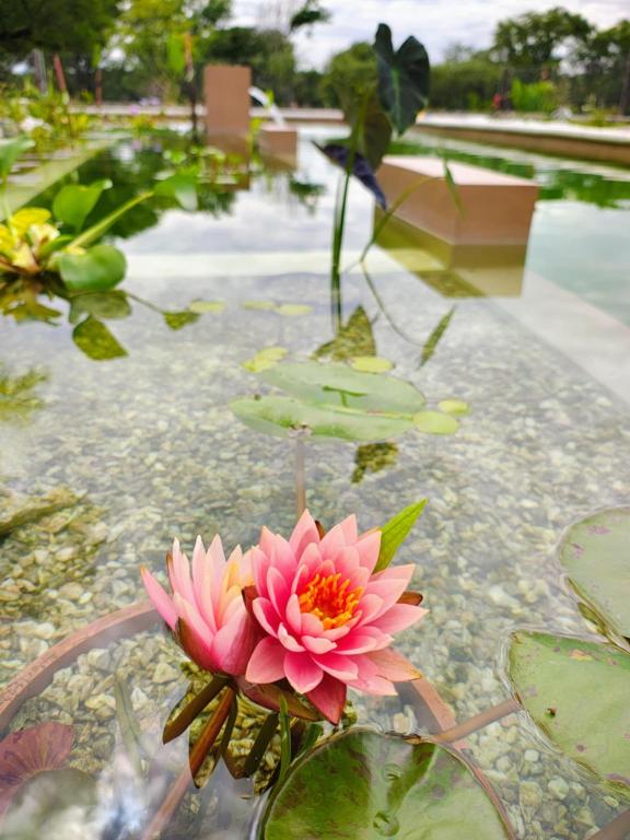 Posta Calma inmerso en la naturaleza