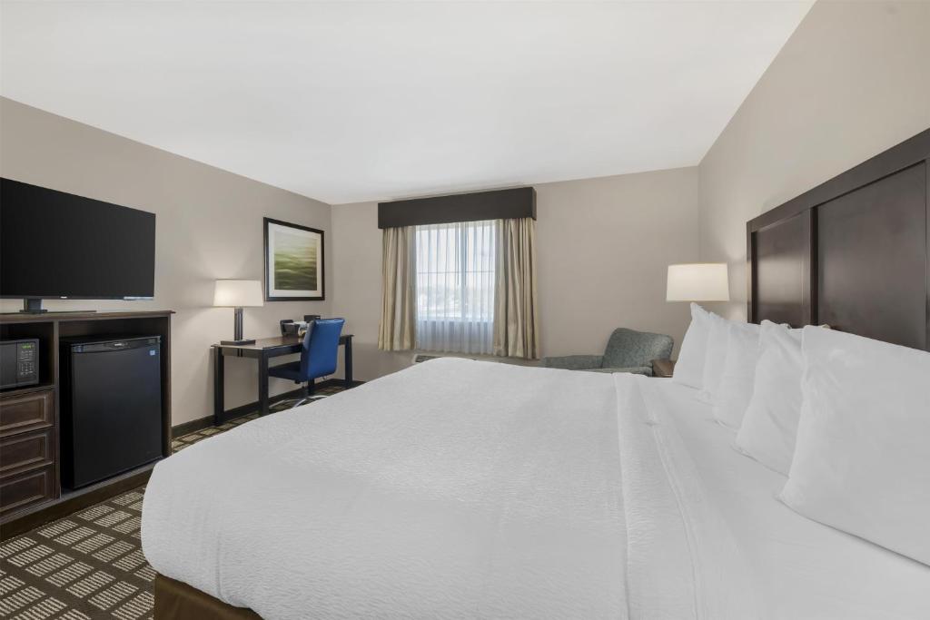 Best Western North Bryant Inn - Camera King - Accesso Disabili
