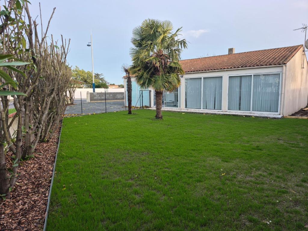a yard with a palm tree and a building at Gîte OL'HERON familiale pour 9 personnes à Dolus in Dolus-d'Oléron