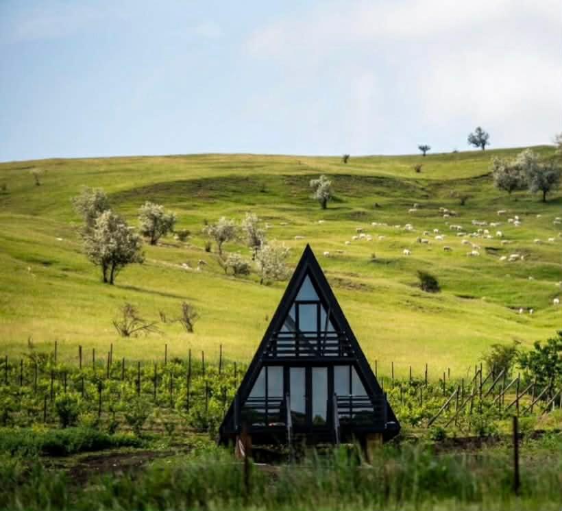 a small house in a field with a herd of sheep at Hill House in Slobozia-Măgura