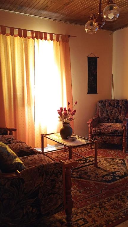 un soggiorno con un divano, un tavolo e una finestra di Alojamiento en Malargue a Malargüe