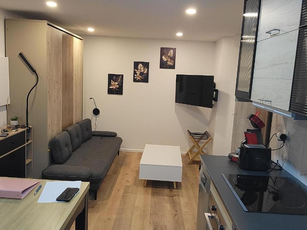 Et tv og/eller underholdning på Cozy Apartment Bicetre