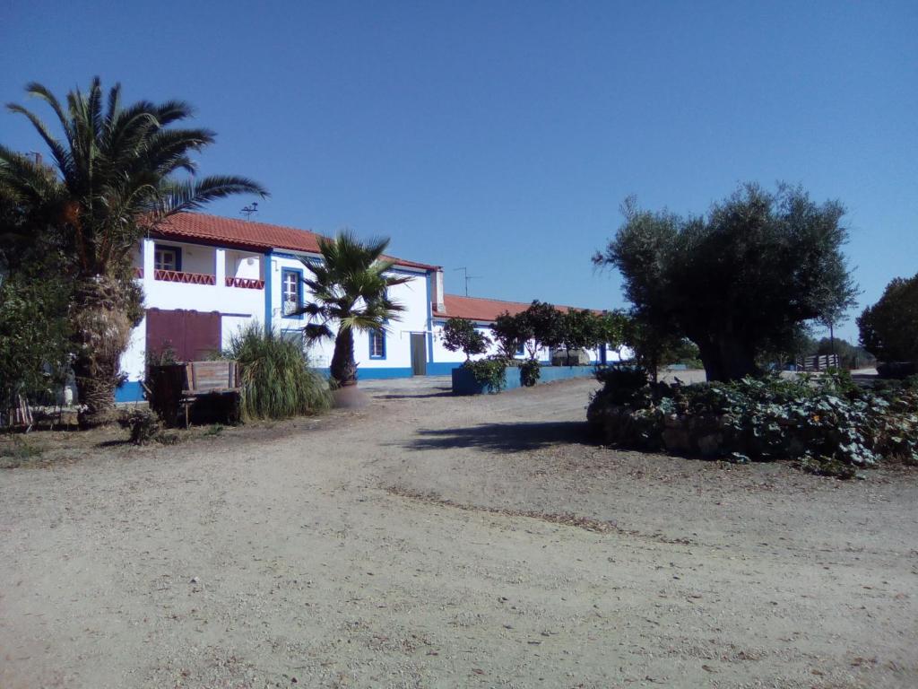 una casa con palmeras frente a un camino de tierra en Monte das Galhanas, en Monte do Pigeiro