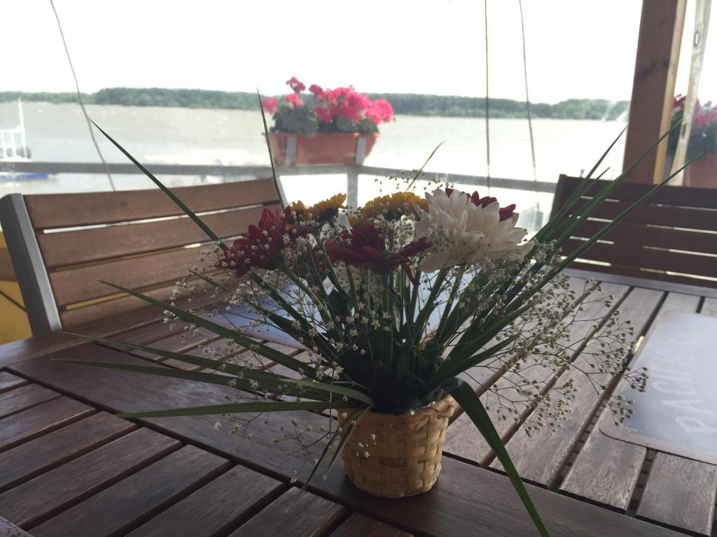 Výhled na řeku, která protéká v blízkosti hotelu
