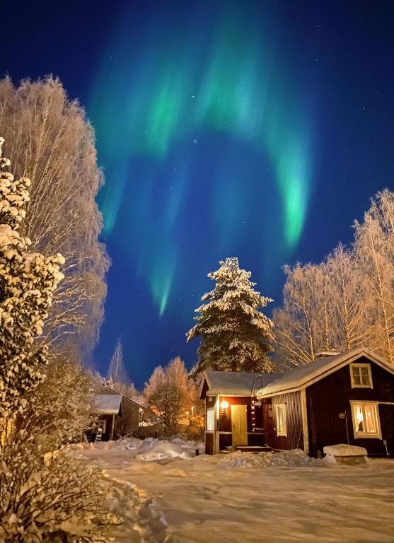 an image of the aurora in the sky over a cabin at Atelier Torppa in Rovaniemi