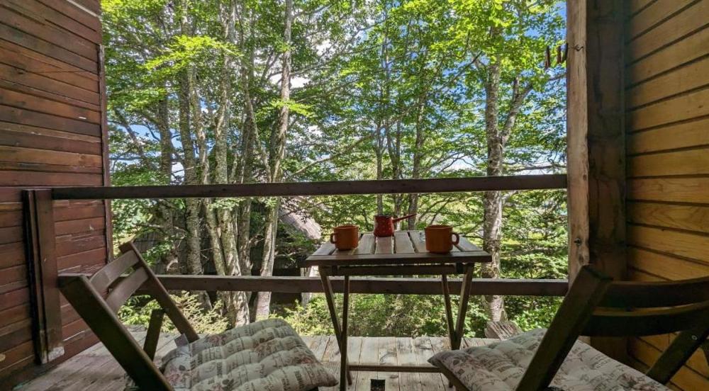 Balkón nebo terasa v ubytování Apartmani Nikcevic Zabljak