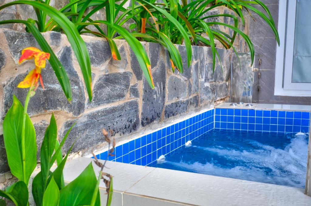 Suite Có Vườn Nhìn Ra Đồi