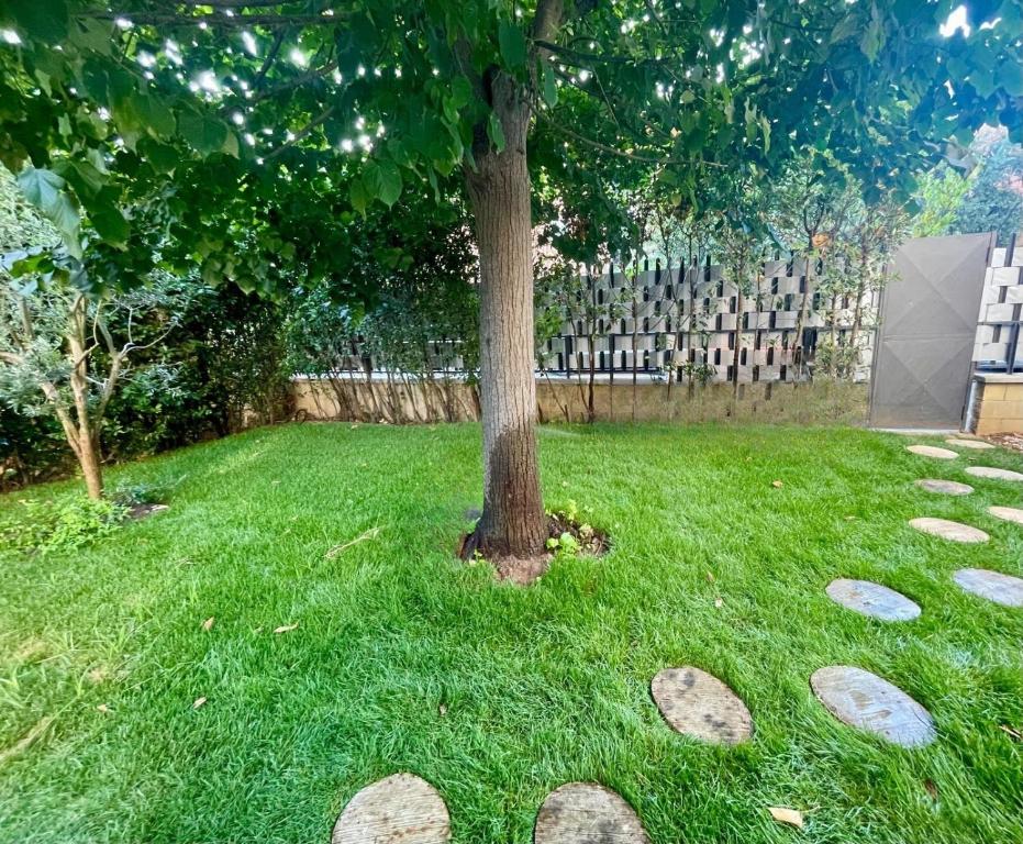 a tree in the middle of a lawn with rocks at Scavi & Sogni Romani in Ostia Antica