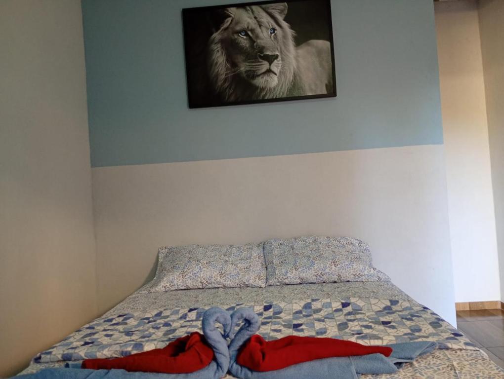 un letto con la foto di un leone sul muro di Recanto Antônio Costa a Parati
