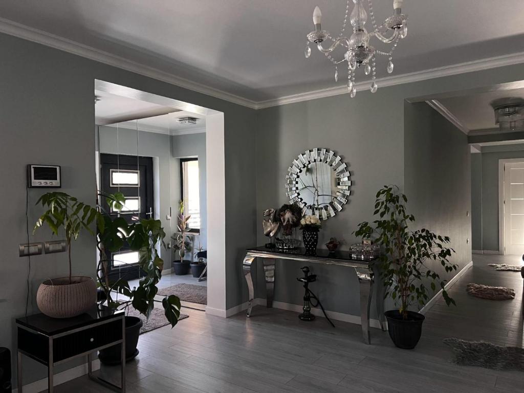 una stanza con specchio e tavolo con piante di Valmaris a Râmnicu Vâlcea