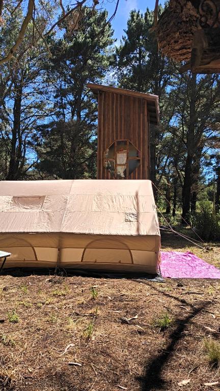 a bed sitting on the ground in front of a shed at Refugio CASA NAVE Torre del Bosque in San Eduardo del Mar