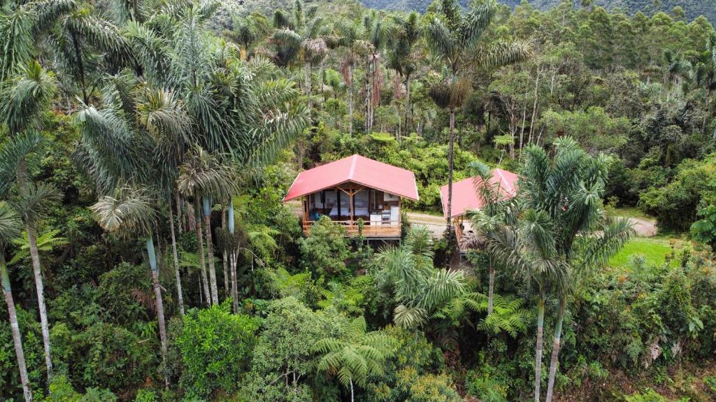 Cabaña El Palmeral, Oxapampa