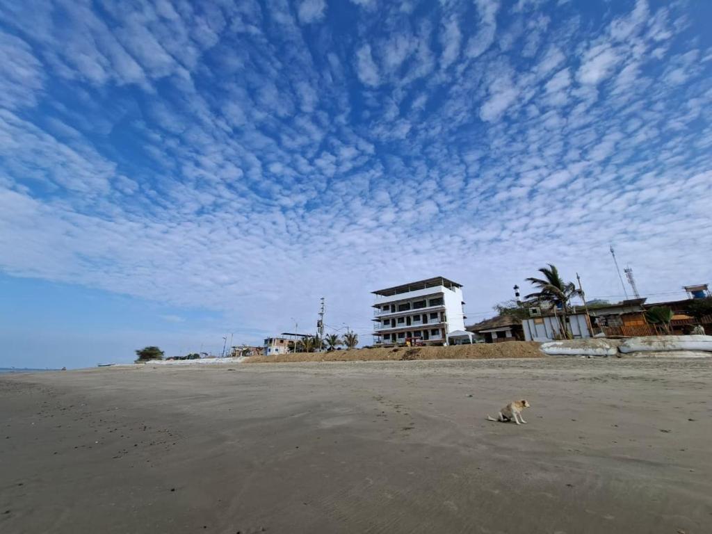 Příroda nedaleko hotelu