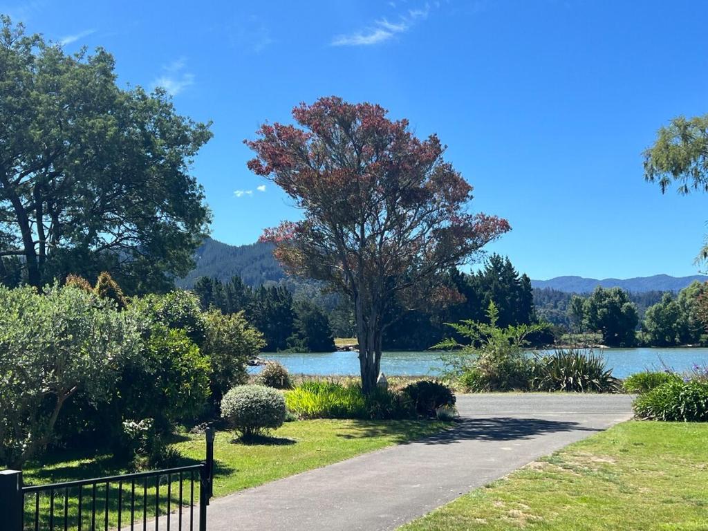 een boom op een pad naast een meer bij Artist Retreat A Stay for Couples and Creatives in Riwaka