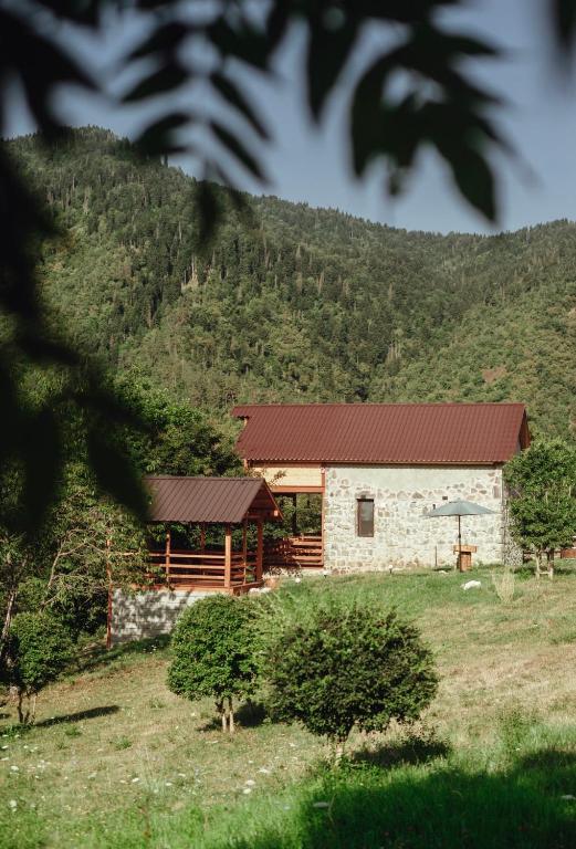 a house in a field with a mountain in the background at Sakartvelo Soul in Borjomi