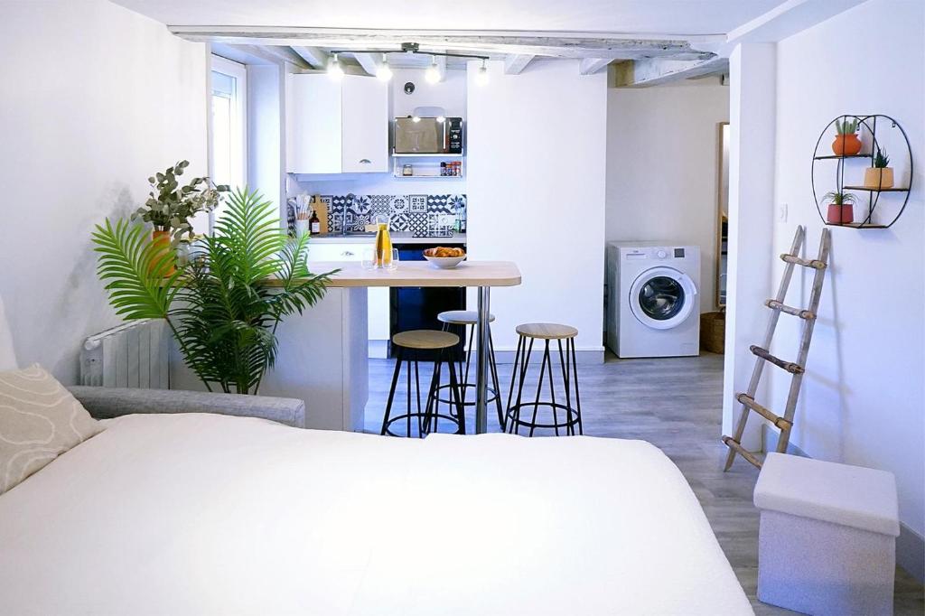 Køkken eller tekøkken på Studio Élégant Roanne