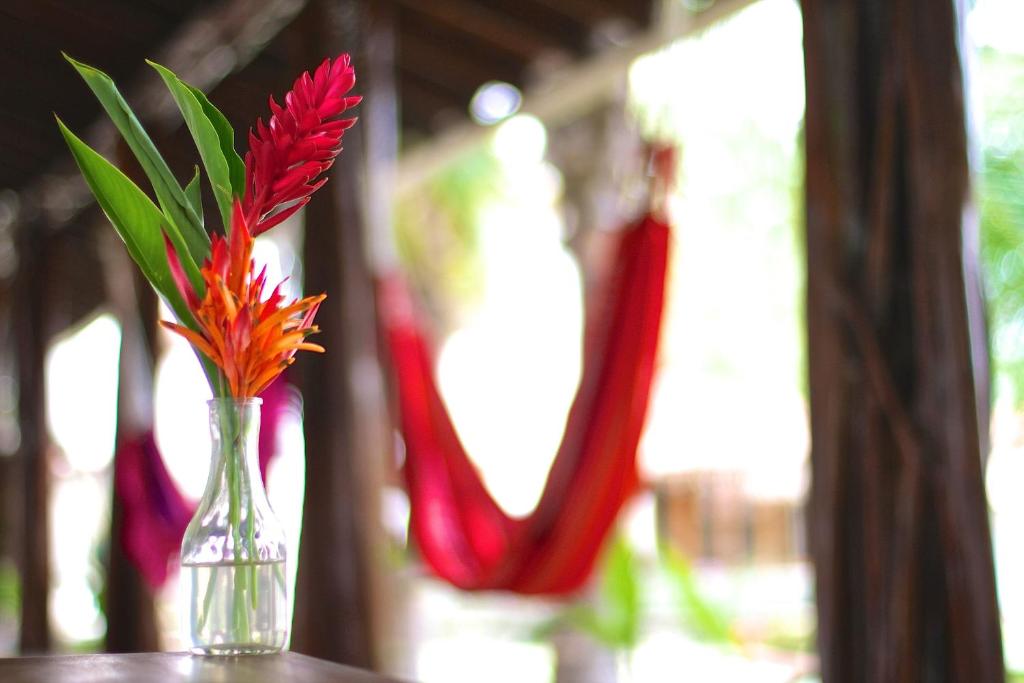 Zahrada ubytování Hotel Santa Catalina Panamá