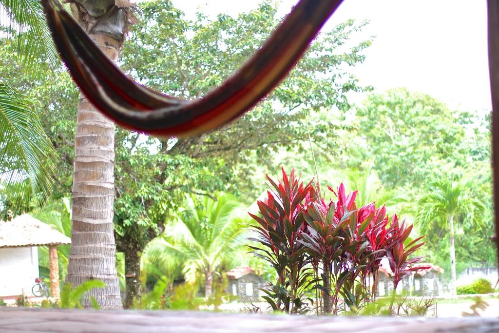 Zahrada ubytování Hotel Santa Catalina Panamá