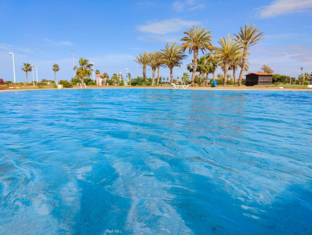 a large body of water with palm trees and a beach at Seule résidence accès directe plage in Saïdia