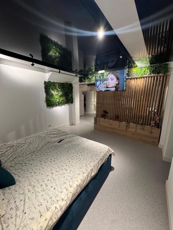 een slaapkamer met een bed en een tv aan de muur bij LVO Apartments in Bîrlad