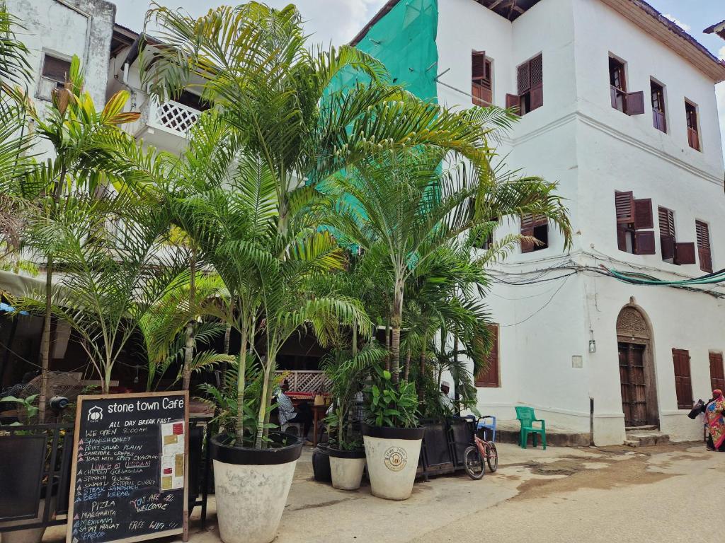een groep palmbomen voor een gebouw bij Stone Town Cafe in Zanzibar City