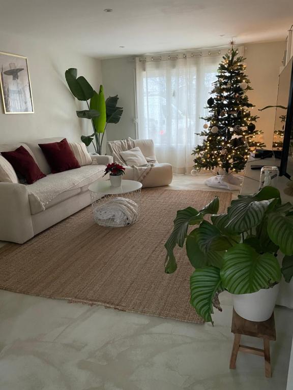 een woonkamer met een kerstboom en een bank bij Kaz Bohèm in Ambleteuse