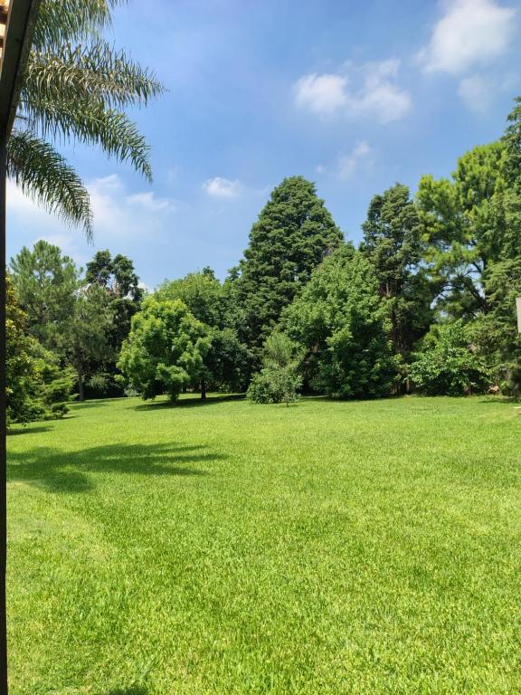 a field of grass with trees in the background at Quinta con pileta y quincho in Fátima