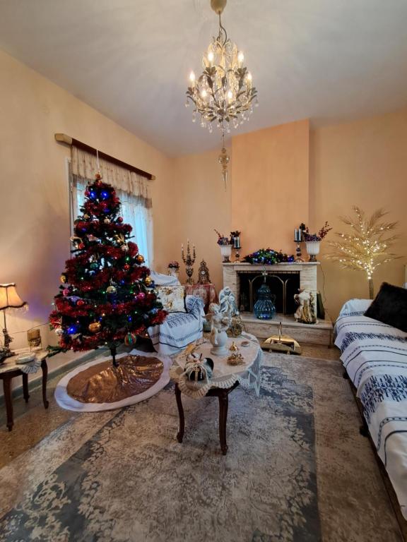 Posezení v ubytování Villa Excelsior