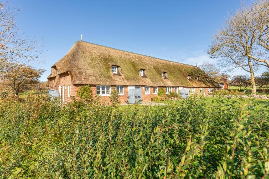 una vecchia casa con tetto di paglia in un campo di Schipp Landen Frida a Schobüll