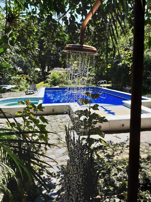 a water fountain in front of a swimming pool at TierraViva in Tobia