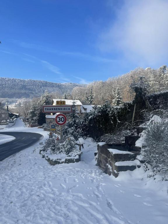Gîte au Manoir des Sens - Panorama Taennchel aux portes du Haut-Koenigsbourg – photo 38