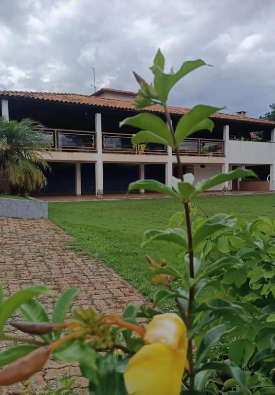 a plant in front of a building at Sítio flor do campo 7L in Sete Lagoas