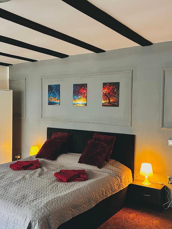 ein Schlafzimmer mit einem Bett mit drei Gemälden an der Wand in der Unterkunft Casa Oriana in Predeal