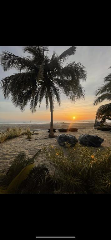 斯基灵角Kalao beach的海滩上的棕榈树与日落