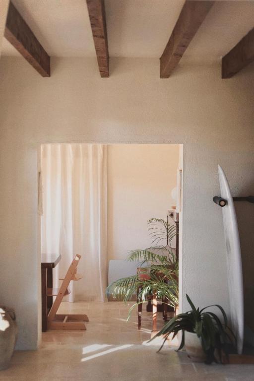a room with a surfboard and a plant in it at Chambre privée à La Figulina in Grayan-et-lʼHôpital